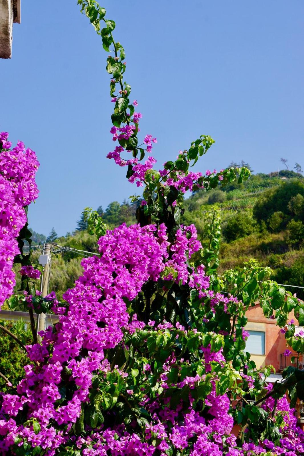 Appartamento Le Conchiglie Monterosso Al Mare Kültér fotó