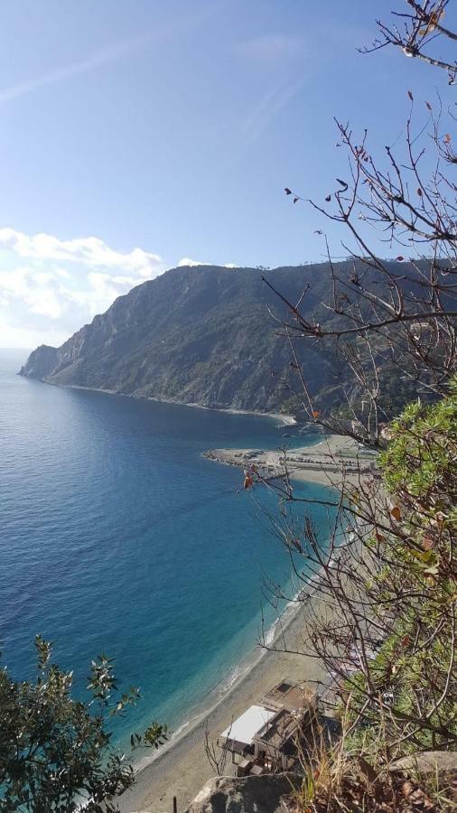 Appartamento Le Conchiglie Monterosso Al Mare Kültér fotó